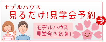 見るだけ見学会